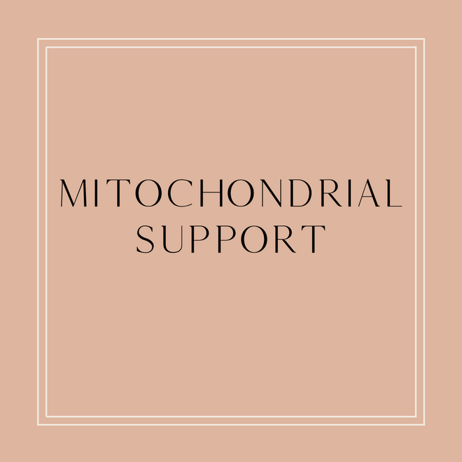 Products that Provide Mitochondrial Support