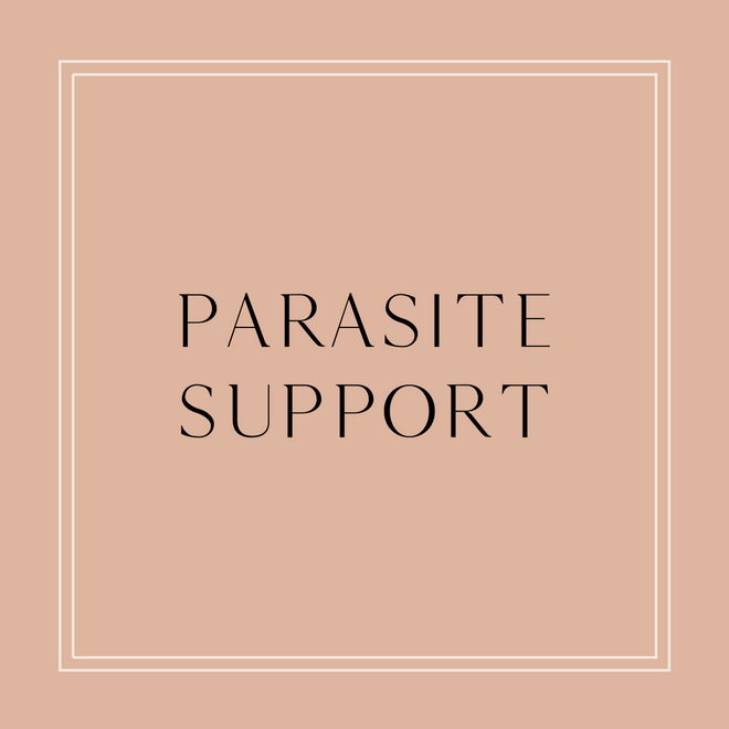 Products that Provide Support for Parasite Cleanse